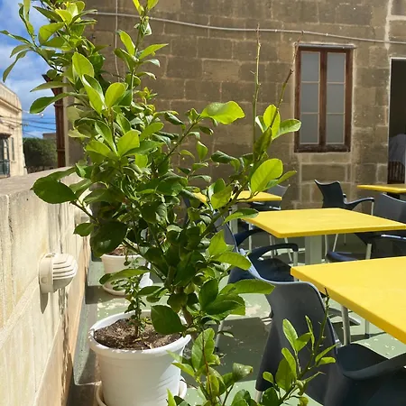 Xemx Guest house